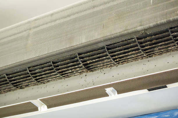 Best Air Duct Inspection  in Clintwood, VA