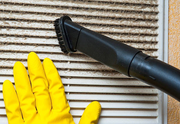 Best Air Duct Mold Removal  in Clintwood, VA
